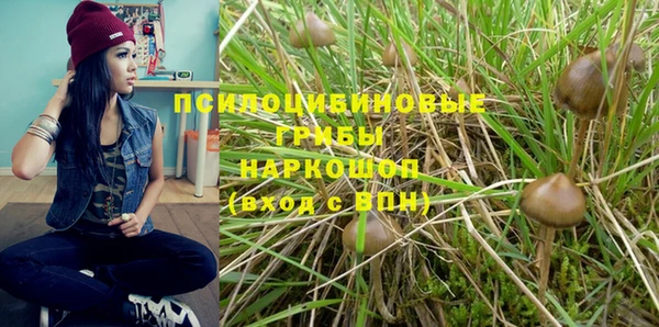 Альфа ПВП Алексин